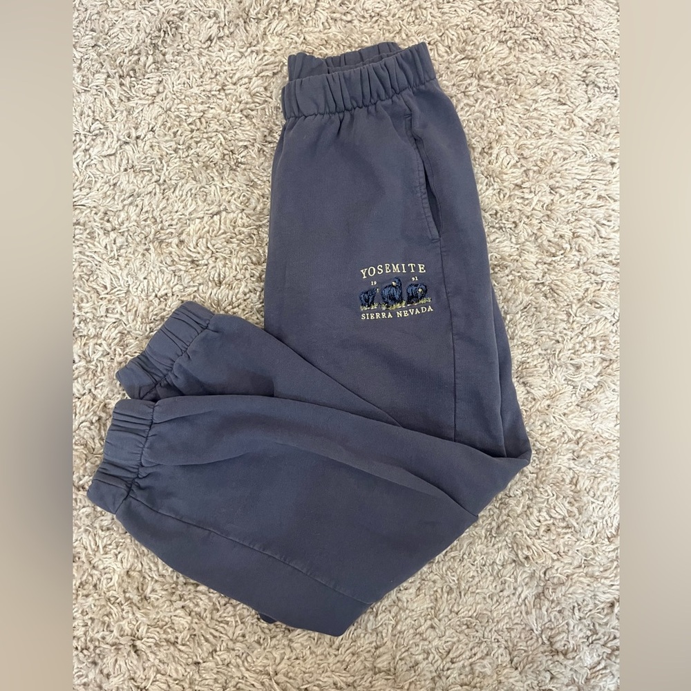 Brandy Melville John galt Yosemite sweat pants